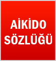 Aikido’nun Bugünü, Türkiye’de Aikido, Mustafa AYGÜN
